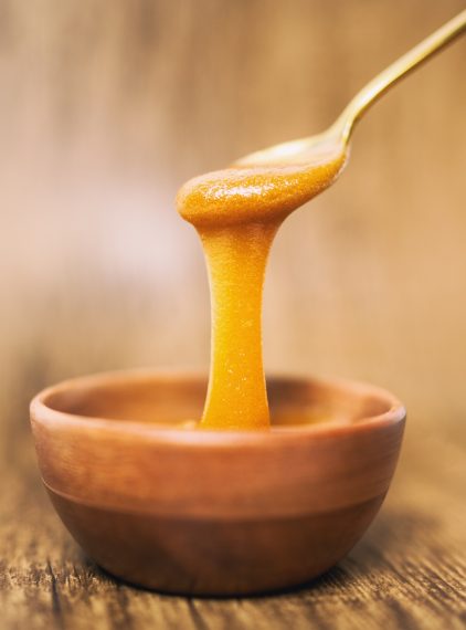 Oryginalny miód manuka – jak rozpoznać prawdziwy? Cechy i właściwości miodów manuka