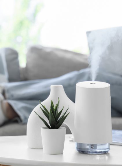 Jaki nawilżacz powietrza wybrać? Ranking