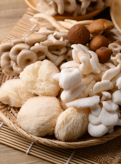 Grzyby funkcjonalne. Naturalne wsparcie dla odporności, energii i koncentracji