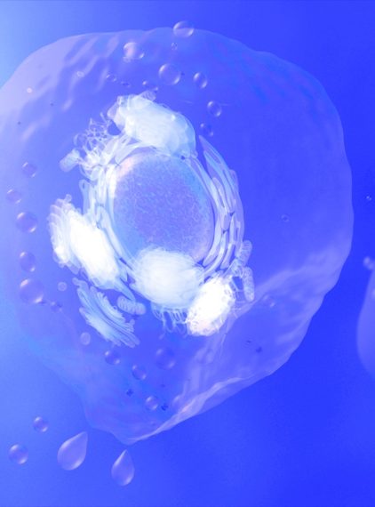 Egzosomy w kosmetykach. Czym są i jakie przynoszą efekty?