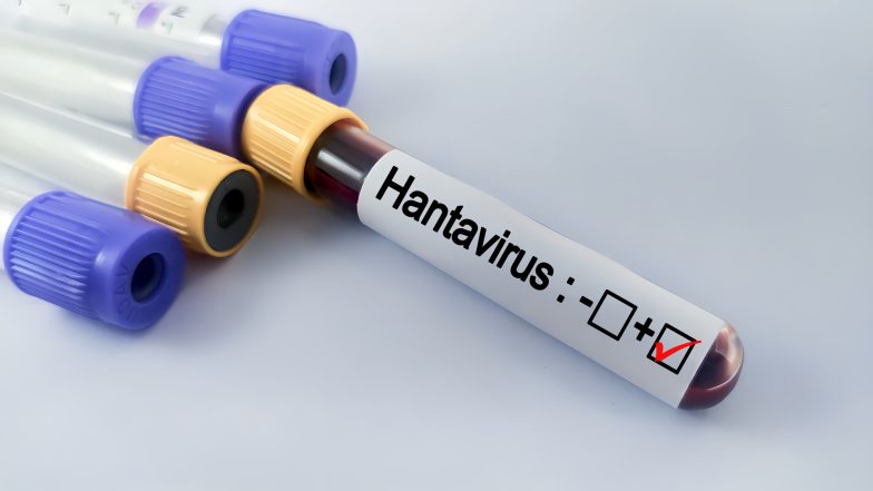 Hantawirus. Czym jest i czy może wywołać epidemię?