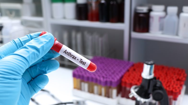 Wąglik (antraks). Objawy, śmiertelność, diagnostyka, leczenie i profilaktyka